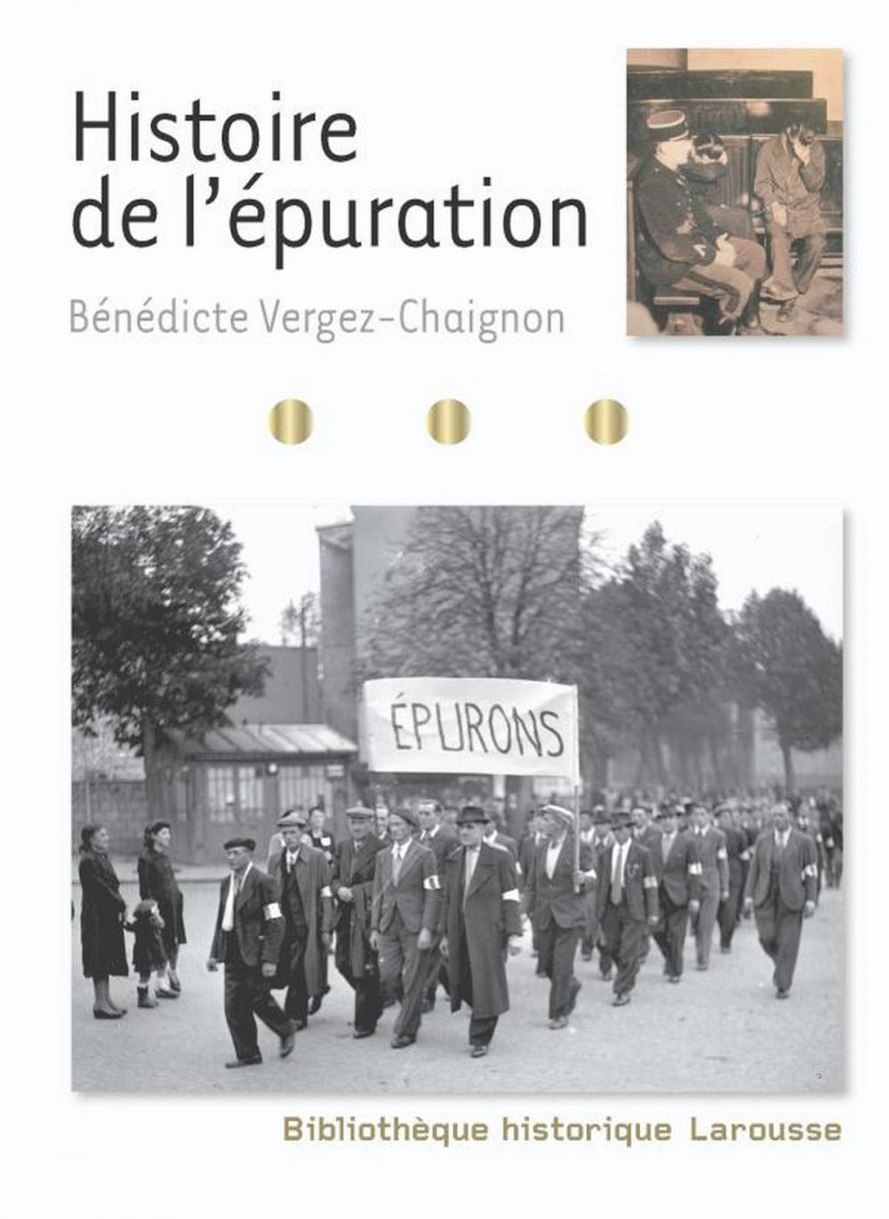 Big bigCover of Histoire de l'épuration