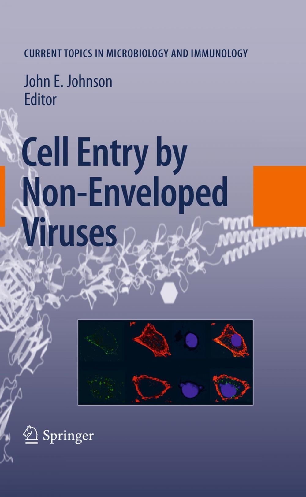 Big bigCover of Cell Entry by Non-Enveloped Viruses