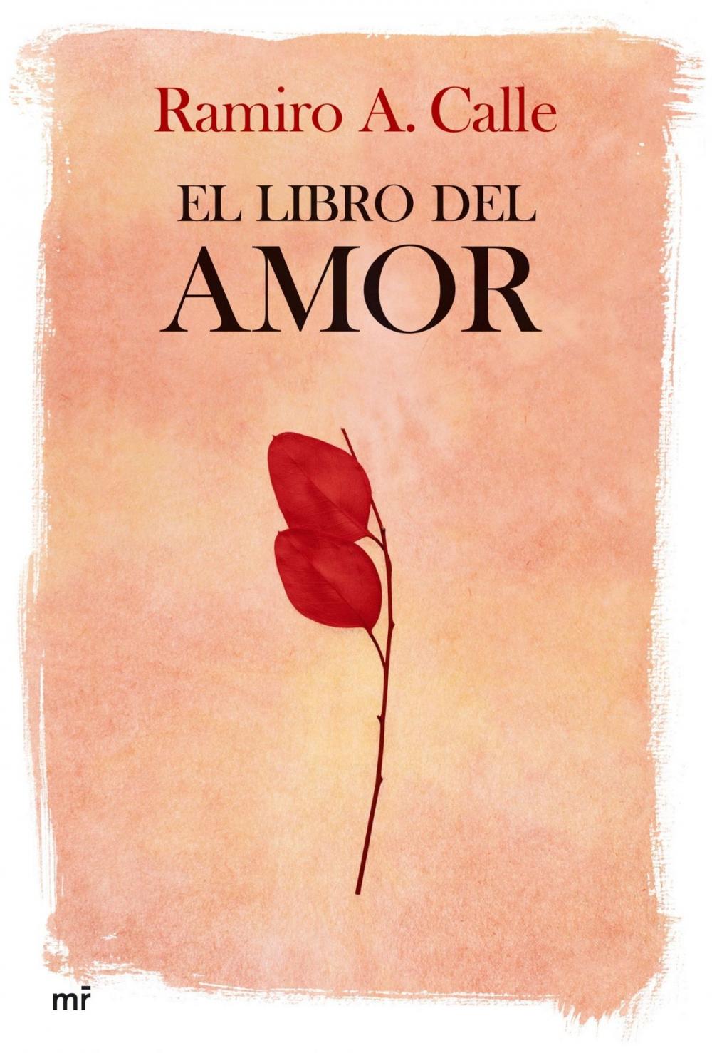 Big bigCover of El libro del amor