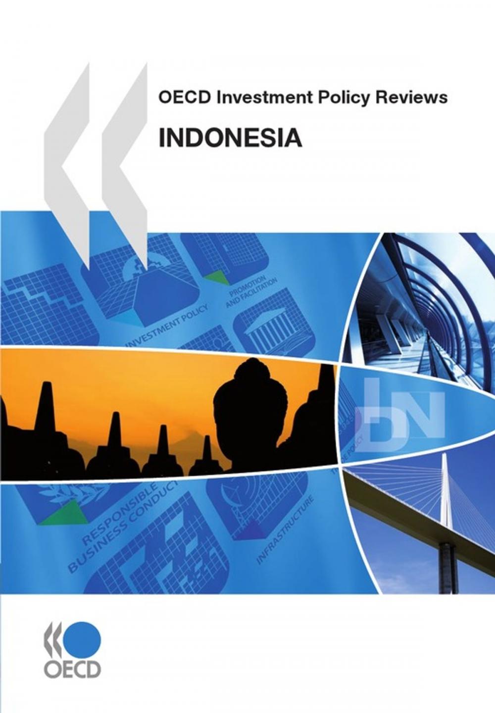 Big bigCover of OECD Investment Policy Reviews: Indonesia 2010