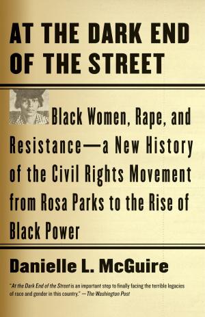 Cover of the book At the Dark End of the Street by James Baldwin