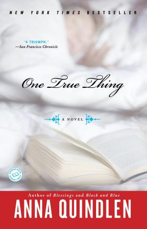 Cover of the book One True Thing by David Brooks