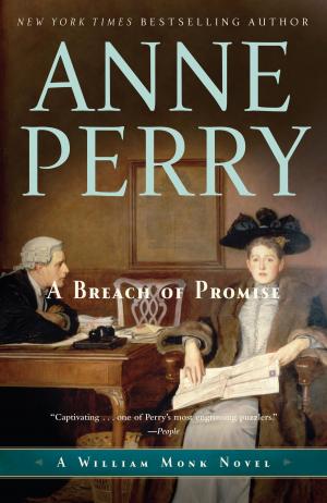 Cover of the book A Breach of Promise by Lucy Abelson