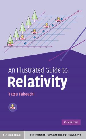 Cover of the book An Illustrated Guide to Relativity by Ludivine Broch