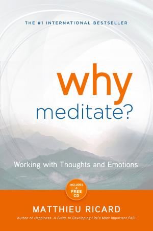 Cover of the book Why Meditate? by Marie-Claire Carlyle