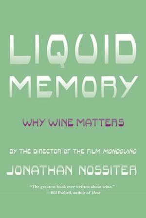 Cover of the book Liquid Memory by Chris Fujiwara