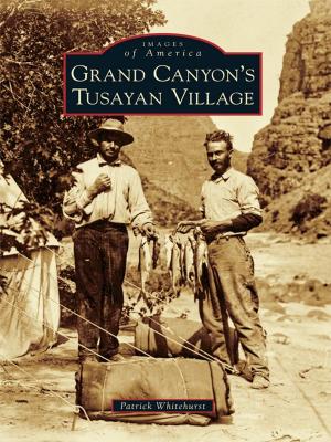 Cover of the book Grand Canyon's Tusayan Village by T. Felder Dorn