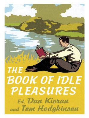 Cover of the book The Book of Idle Pleasures by Lisa Rallig-superprall