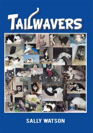 Cover of the book Tailwavers by Arthur J. Honsaker