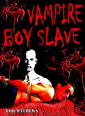 Book cover of Vampire Boy Slave