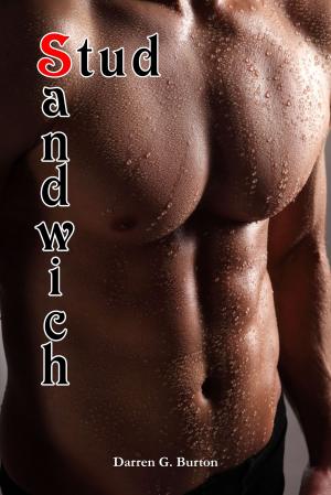 Cover of the book Stud Sandwich by Eden Nighte