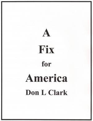 Cover of the book A Fix for America by Dejalma Cremonese