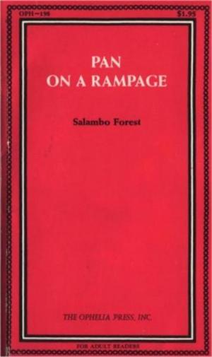 Cover of the book Pan On A Rampage by Barbara Boinck