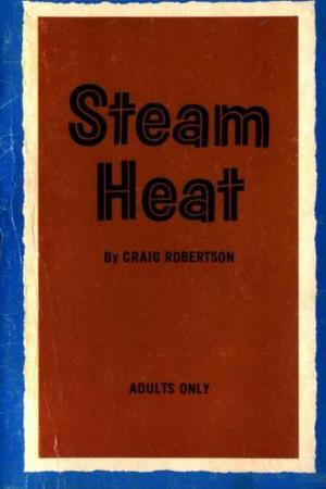 Cover of the book Steam Heat by J.E. Cairns