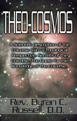 Cover of the book Theo-Cosmos by Willem Meiners