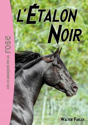 Cover of the book L'Étalon Noir 01 - L'Étalon Noir by Glenn Haybittle