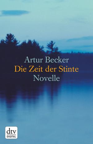 Cover of the book Die Zeit der Stinte by Benjamin Cors