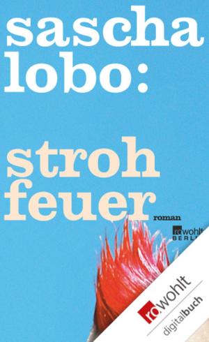 Cover of the book Strohfeuer by Melanie McGrath