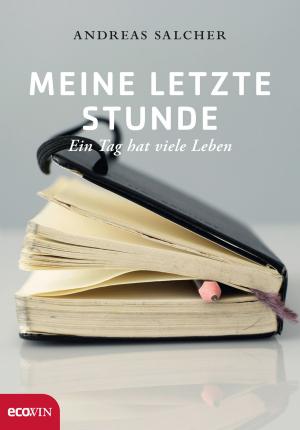 Book cover of Meine letzte Stunde