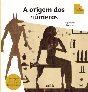 Cover of the book A origem dos números by Paulo Raful, Lauro Raful