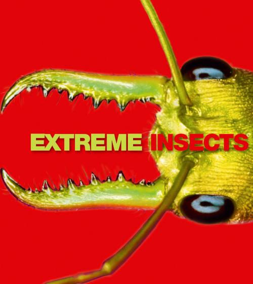 Cover of the book Extreme Insects by Richard Jones, HarperCollins Publishers