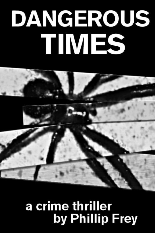 Cover of the book Dangerous Times by Phillip Frey, Phillip Frey