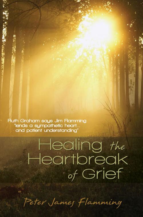 Cover of the book Healing the Heartbreak of Grief by Flamming, Dr Peter James, Abingdon Press