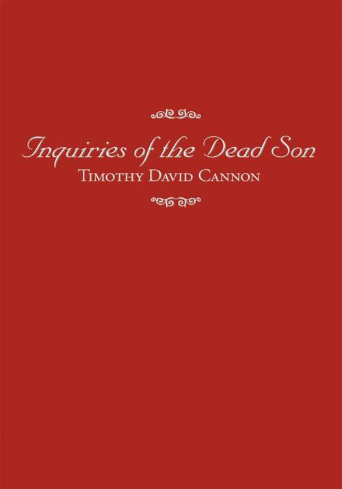 Cover of the book Inquiries of the Dead Son by Timothy Cannon, Trafford Publishing