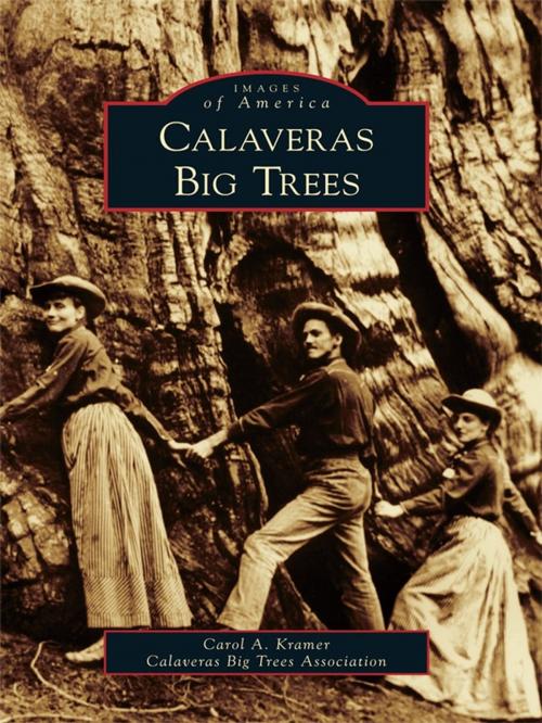 Cover of the book Calaveras Big Trees by Carol Kramer, Calaveras Big Trees Association, Arcadia Publishing Inc.