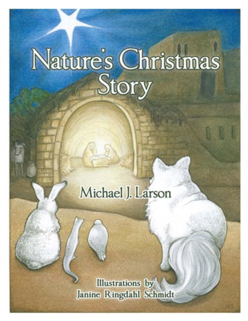 Cover of the book Nature's Christmas Story by Michael J. Larson, WestBow Press