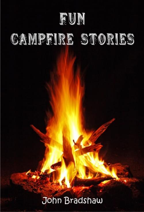 Cover of the book Fun Campfire Stories by John Bradshaw, John Bradshaw