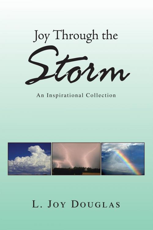 Cover of the book Joy Through the Storm by L. Joy Douglas, Xlibris US