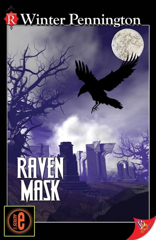 Cover of the book Raven Mask by Winter Pennington, Bold Strokes Books, Inc.