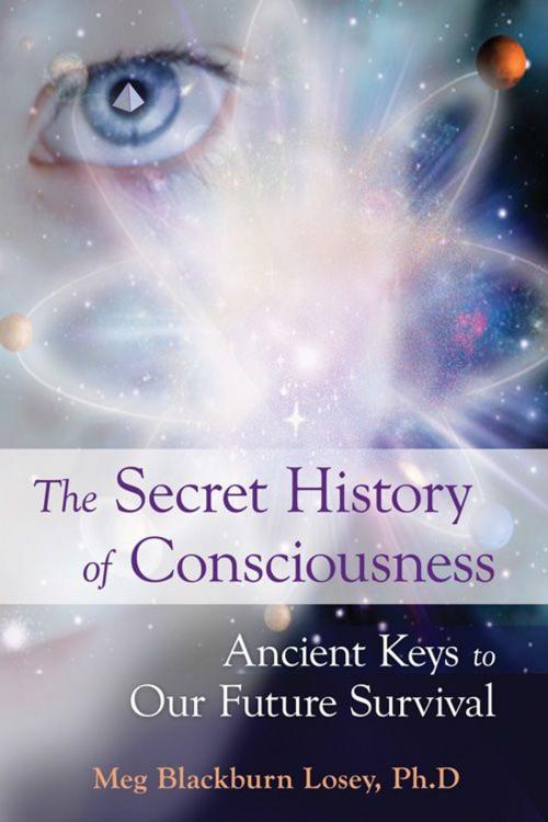 Cover of the book The Secret History of Consciousness by Blackburn Losey, Meg, Red Wheel Weiser