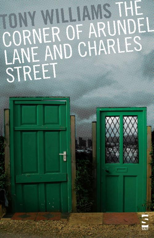 Cover of the book The Corner of Arundel Lane and Charles Street by Tony Williams, Salt Publishing Limited