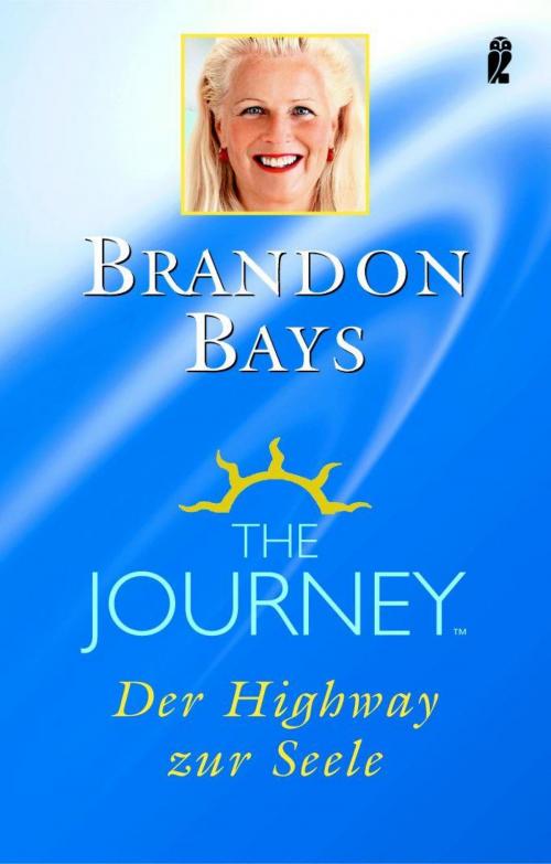 Cover of the book The Journey by Brandon Bays, Ullstein eBooks