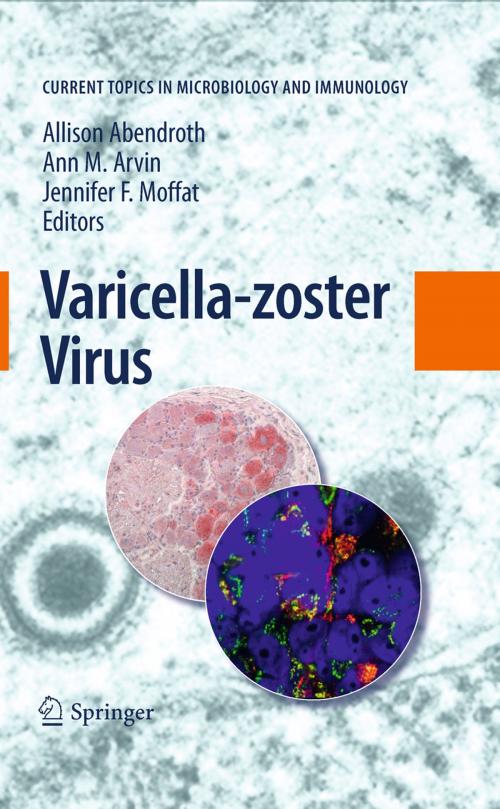 Cover of the book Varicella-zoster Virus by , Springer Berlin Heidelberg