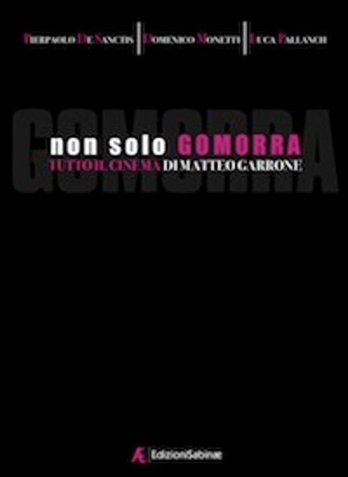 Cover of the book Non solo Gomorra by Pierpaolo De Sanctis, Domenico Monetti, Luca Pallanch, Edizioni Sabinae
