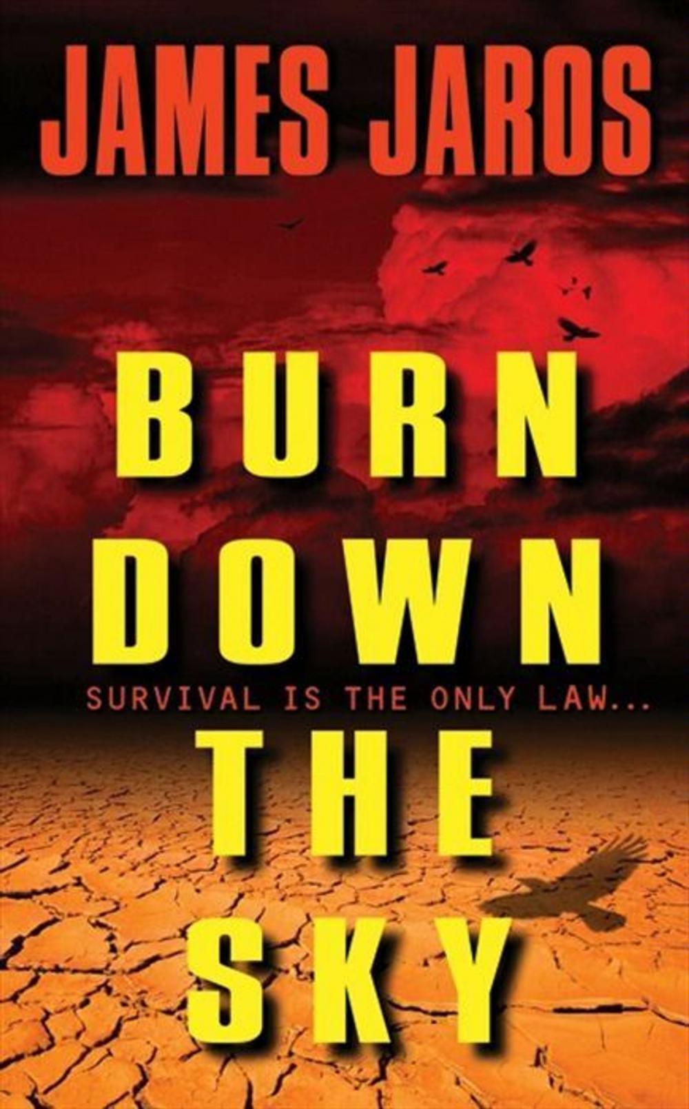 Big bigCover of Burn Down the Sky