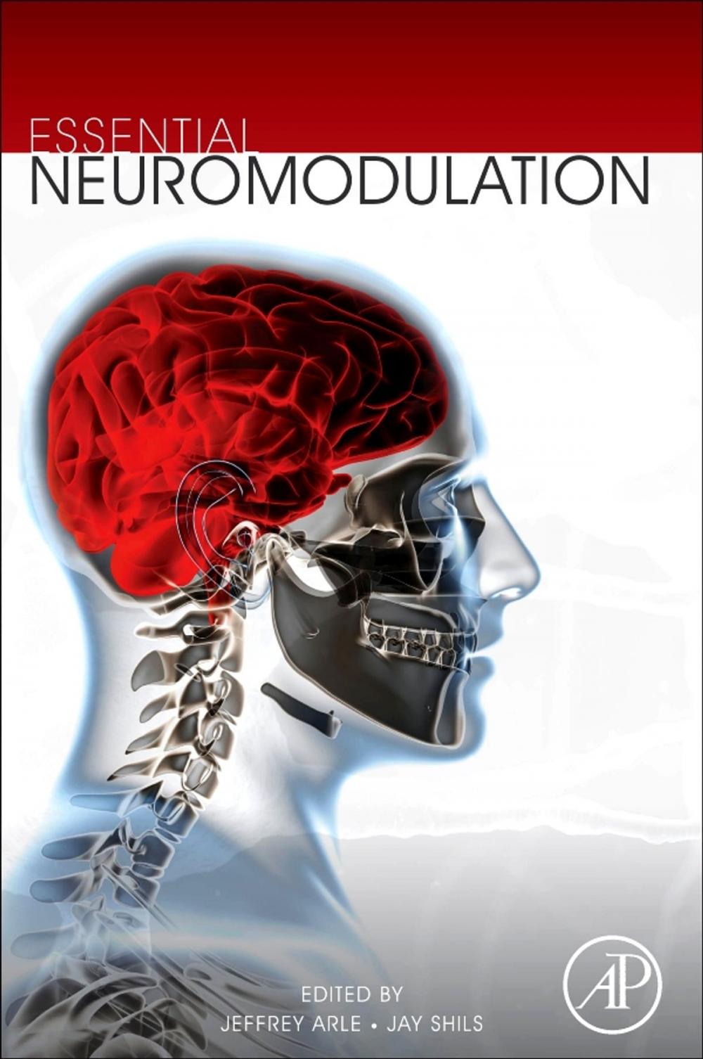 Big bigCover of Essential Neuromodulation