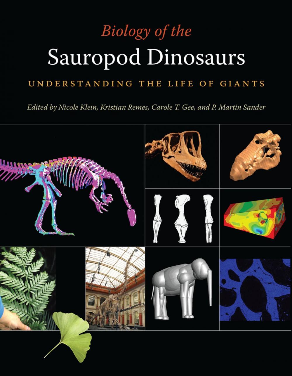 Big bigCover of Biology of the Sauropod Dinosaurs