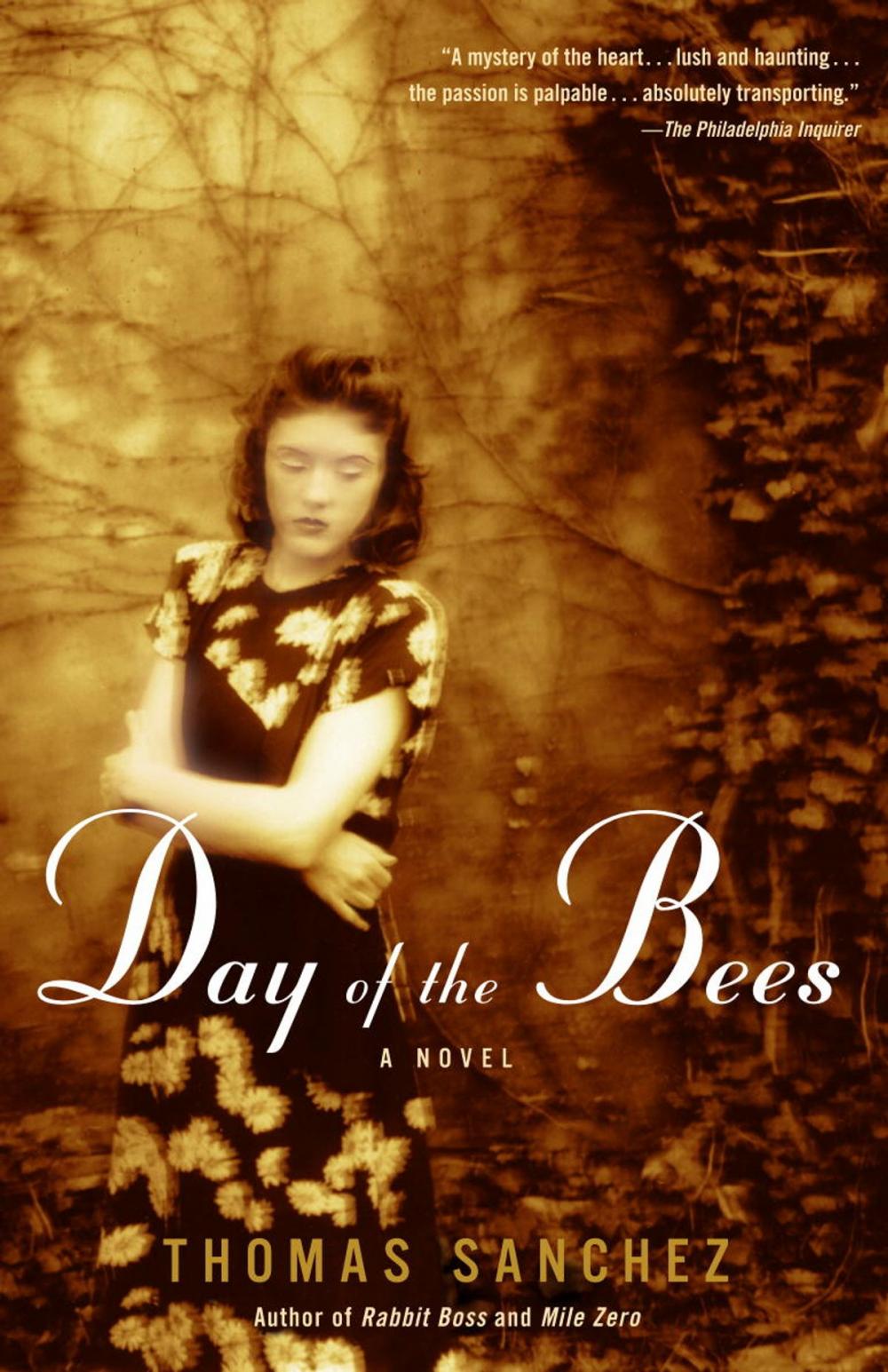 Big bigCover of Day of the Bees