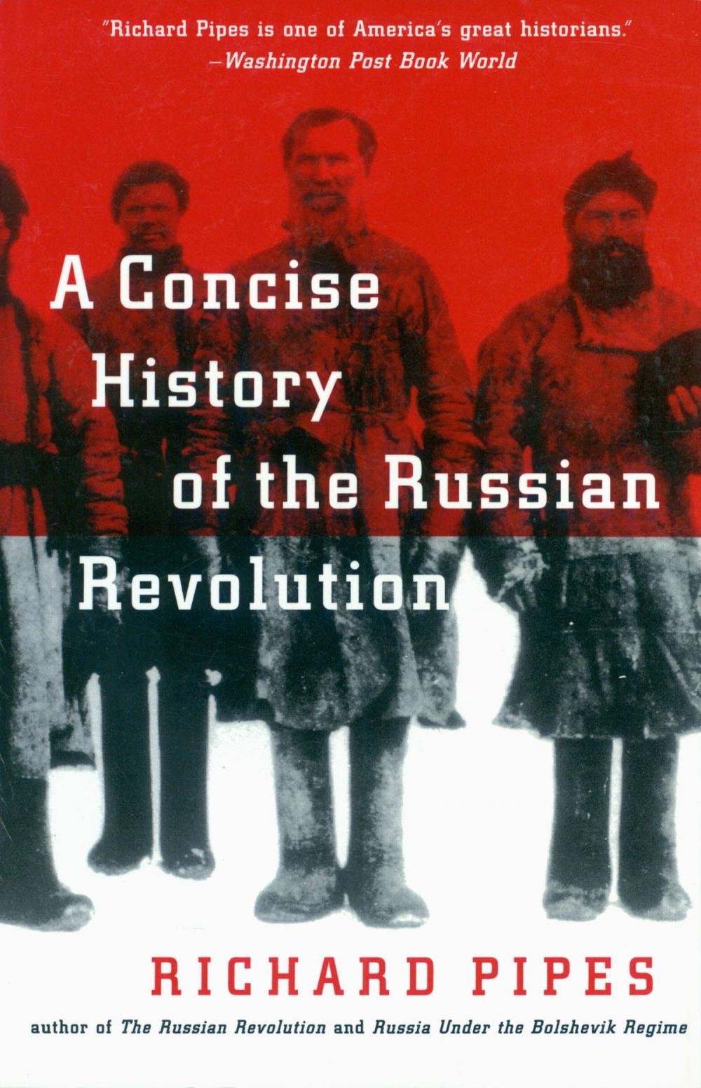 Big bigCover of A Concise History of the Russian Revolution