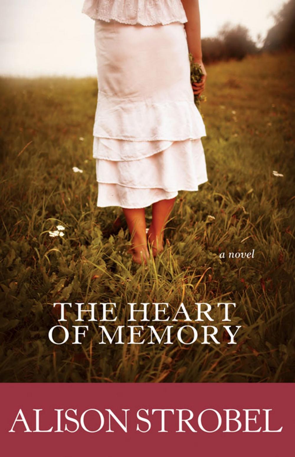 Big bigCover of The Heart of Memory