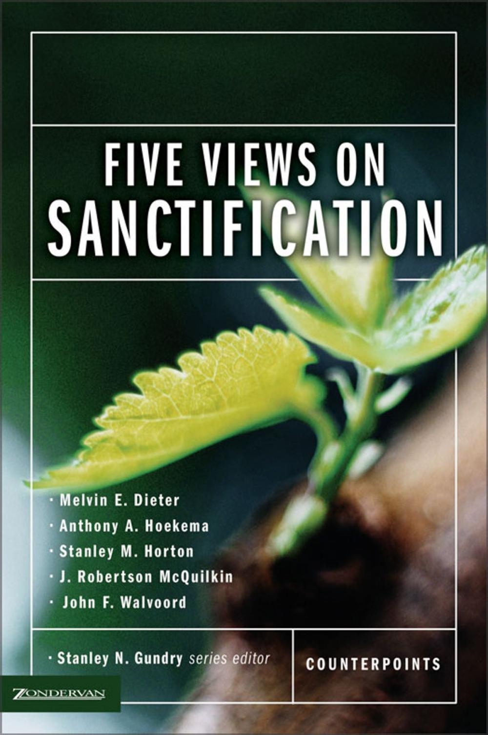 Big bigCover of Five Views on Sanctification