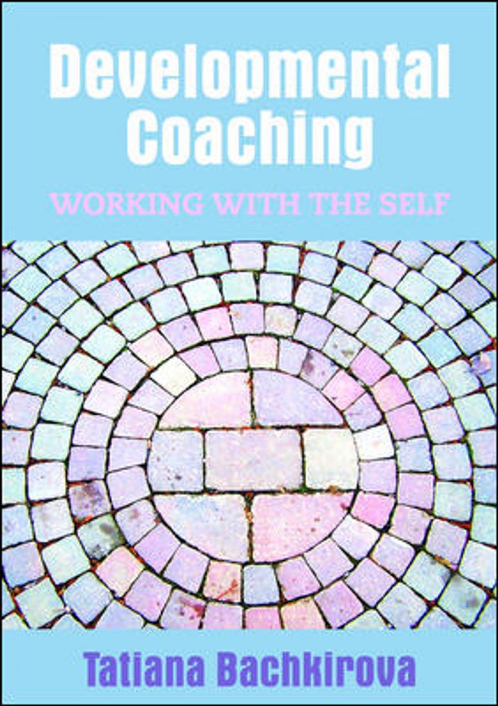 Big bigCover of Developmental Coaching: Working With The Self