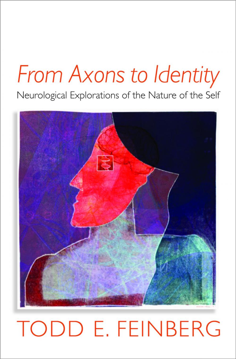 Big bigCover of From Axons to Identity: Neurological Explorations of the Nature of the Self (Norton Series on Interpersonal Neurobiology)