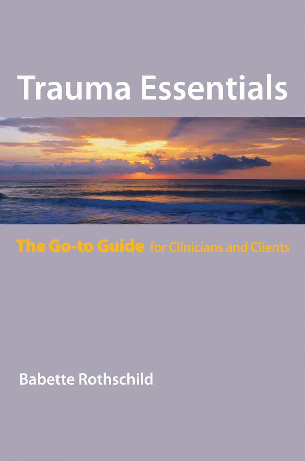 Big bigCover of Trauma Essentials: The Go-To Guide (Go-To Guides for Mental Health)