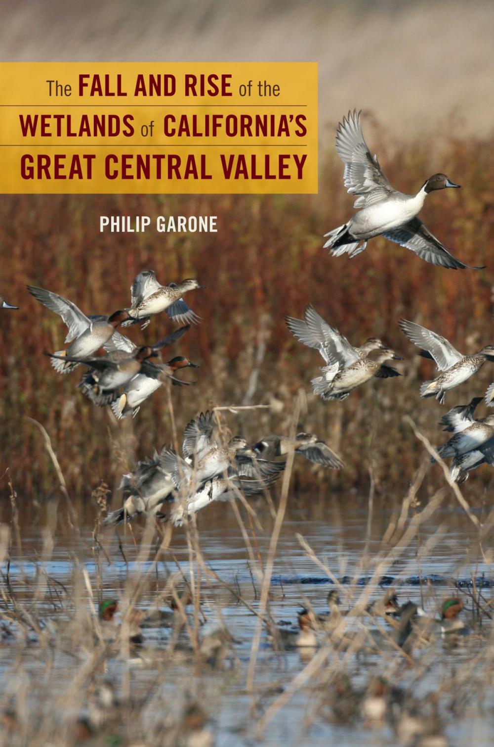 Big bigCover of The Fall and Rise of the Wetlands of California's Great Central Valley