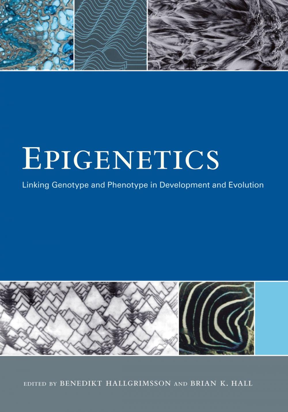 Big bigCover of Epigenetics